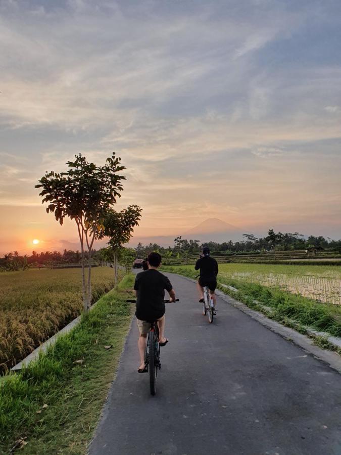 Borobudur Bed & Breakfast Magelang Exterior foto