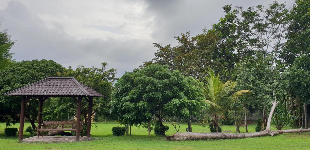 Borobudur Bed & Breakfast Magelang Exterior foto