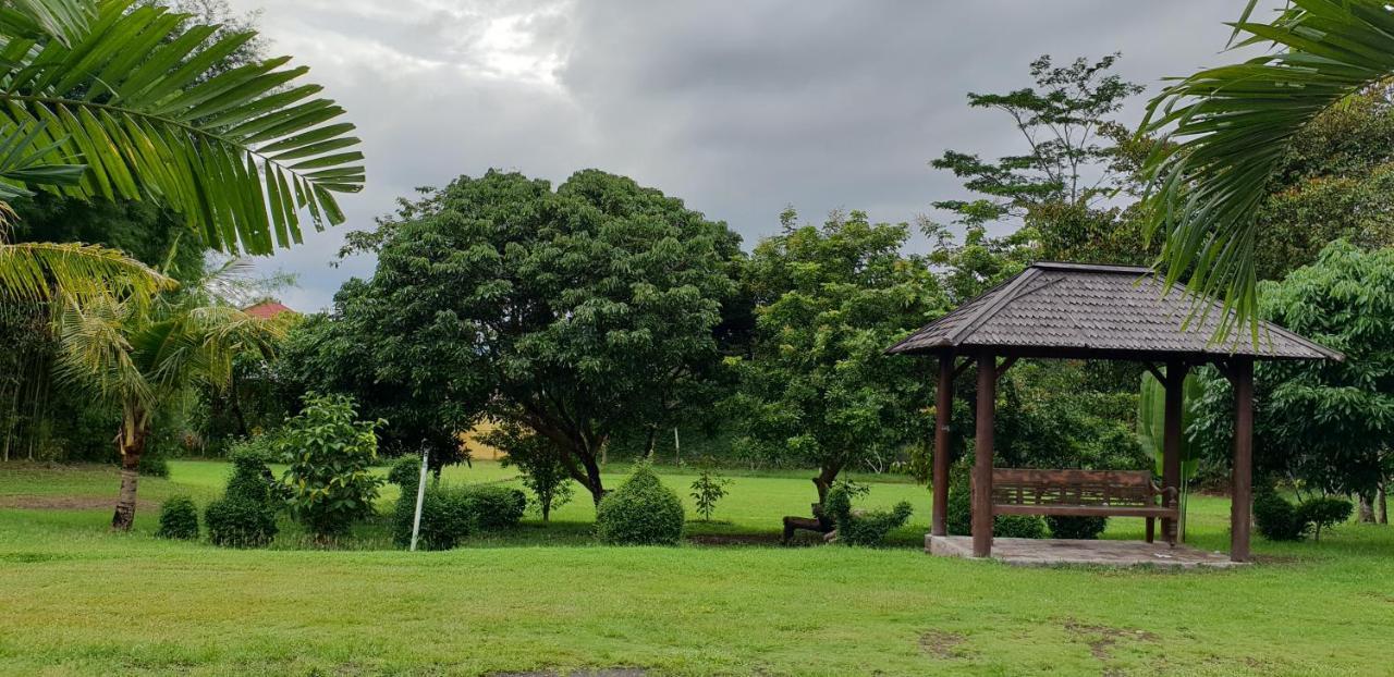 Borobudur Bed & Breakfast Magelang Exterior foto